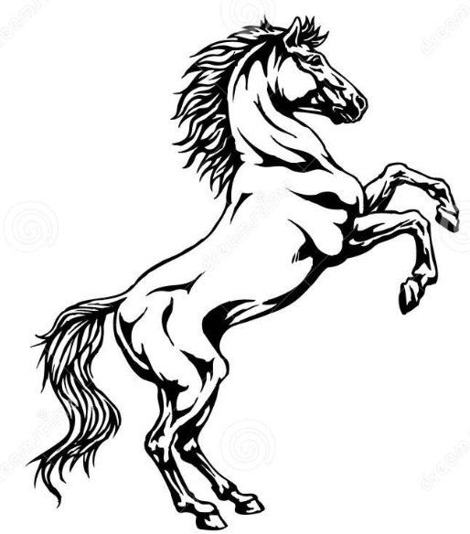 Shadowfax Productions